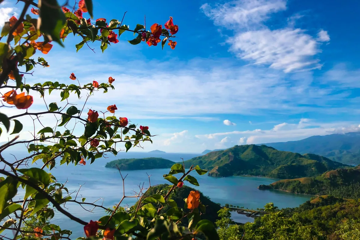 Tropische Bucht mit Bougainvillea-Blüten auf den Philippinen